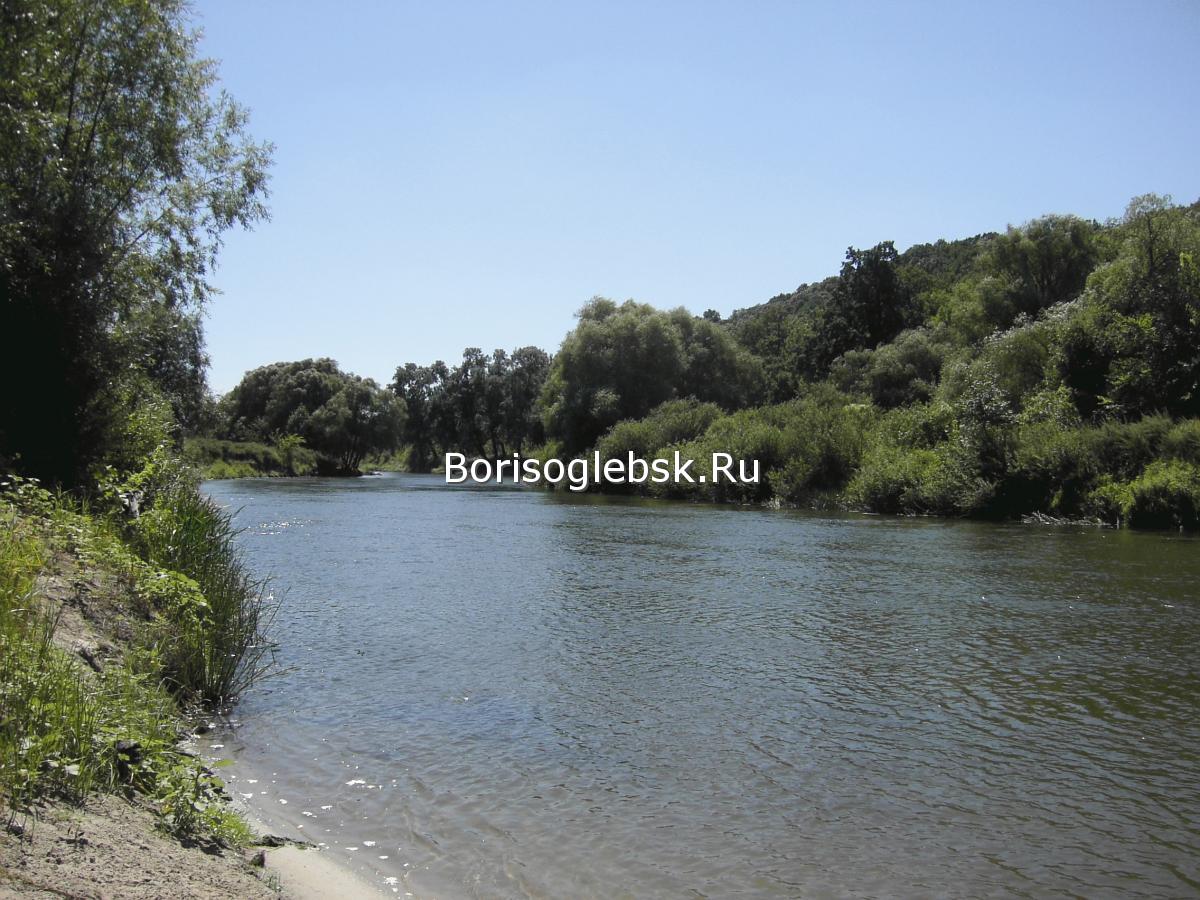 Речка Ворона в окрестностях Борисоглебска